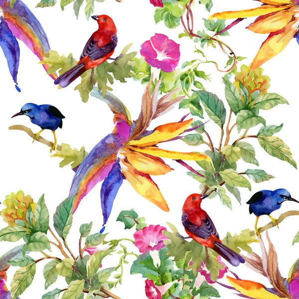 Patrón colorido con flores y pájaros —  Fotos de Stock