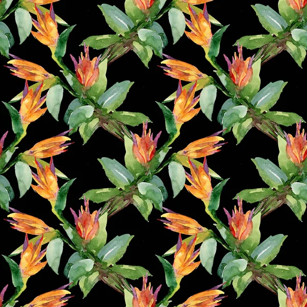 Pattern with orange flowers — Stock Photo, Image