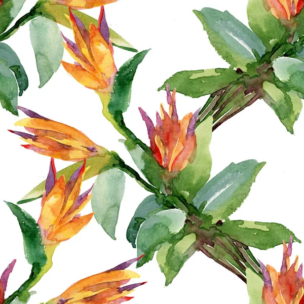 Μοτίβο με πορτοκαλί λουλούδια — Φωτογραφία Αρχείου