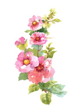 Beyaz arkaplanda çiçekler