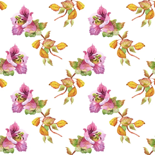 Patrón sin costura con flores rosadas —  Fotos de Stock