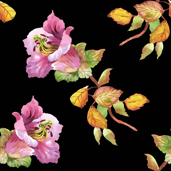 Padrão sem costura com flores rosa — Fotografia de Stock