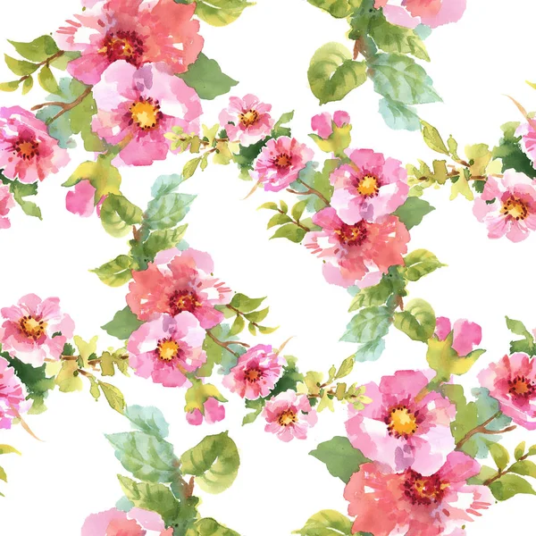 Padrão sem costura com flores rosa — Fotografia de Stock
