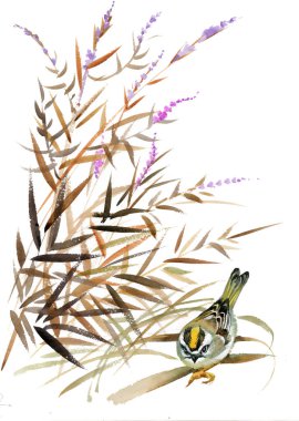 Dalı üzerinde yabani kuş 