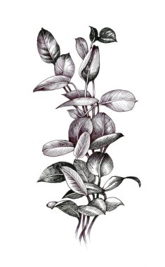 yaprakları ile el çekilmiş şube