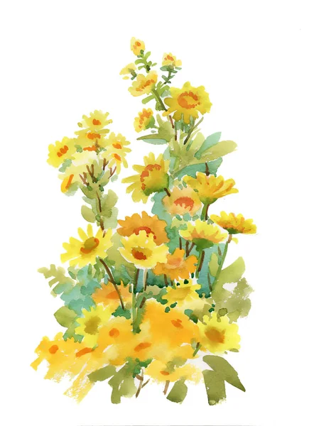 Yellow flowers on white — Stock Photo, Image