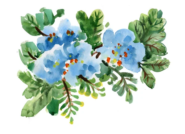 Blaue Blumen auf weißem Grund — Stockfoto