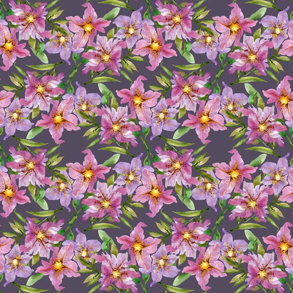 Sommerliche Gartenblumen — Stockfoto