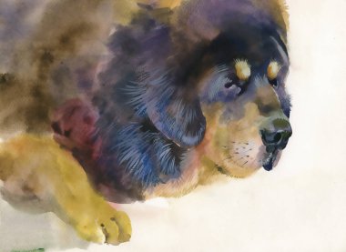 Büyük üzgün köpek