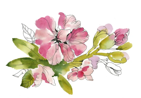 Hand drawn summer flowers — Stock Photo, Image