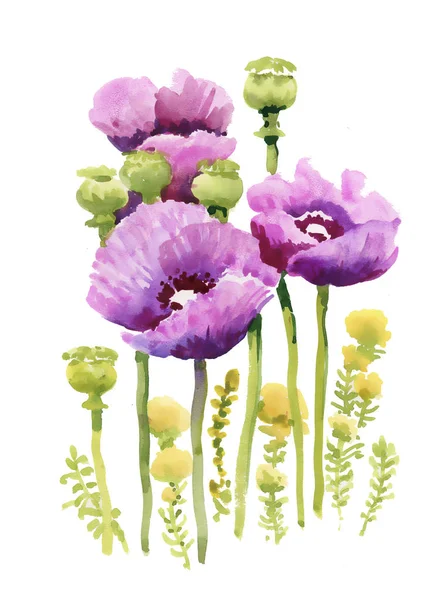 Hand drawn summer flowers — Stock Photo, Image