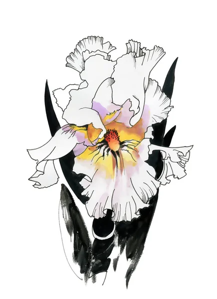 Aquarelle iris fleur — Photo