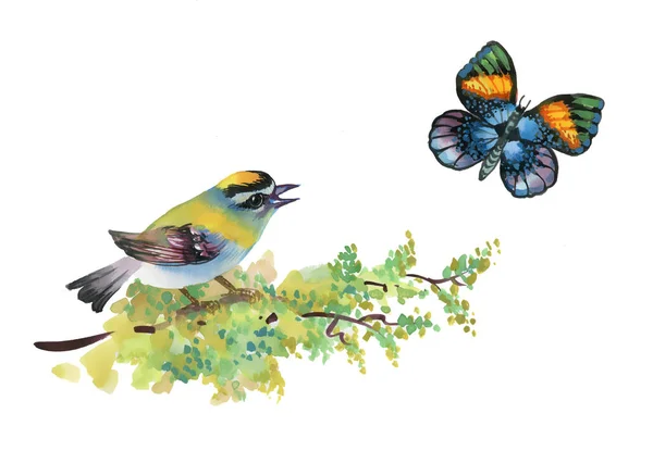 Pták sedí na větvi a motýl — Stock fotografie