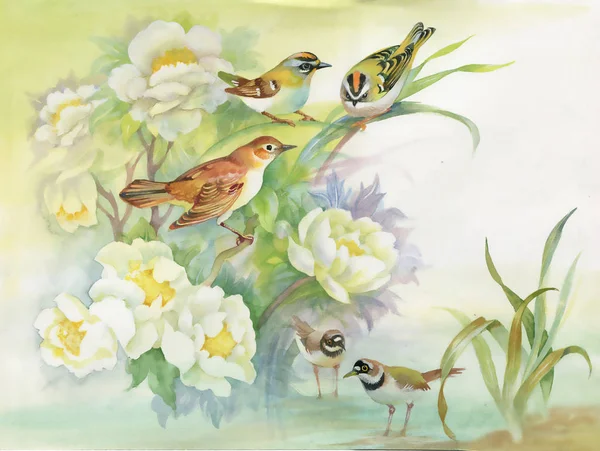 Watercolor  flowers and birds — Stock Photo, Image