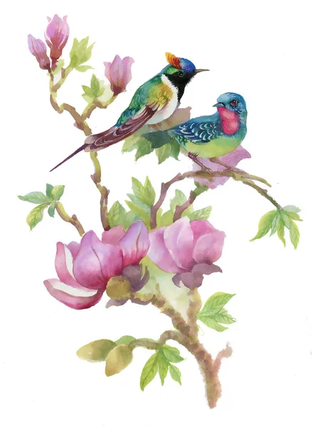 Acquerello fiori e uccelli — Foto Stock