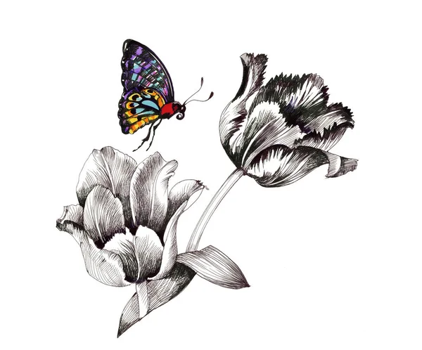 Dibujo mariposa fotos de stock, imágenes de Dibujo mariposa sin royalties |  Depositphotos