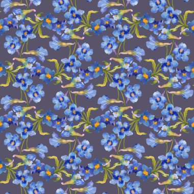 Fairytale suluboya çiçek