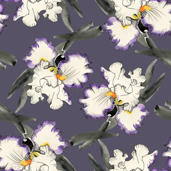 Iris fiore sfondo — Foto Stock