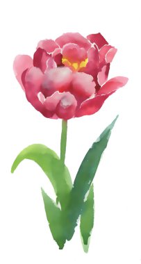 güzel bir kırmızı çiçek 