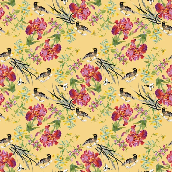 Beautiful pattern with flowers and birds — Stock Photo, Image