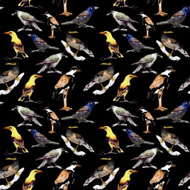 yabani kuşlar arka plan