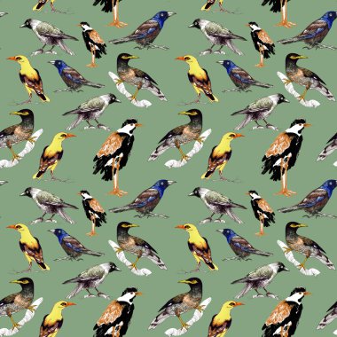 yabani kuşlar arka plan