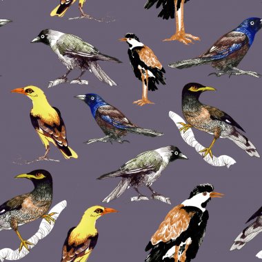 yabani kuşlar arka plan