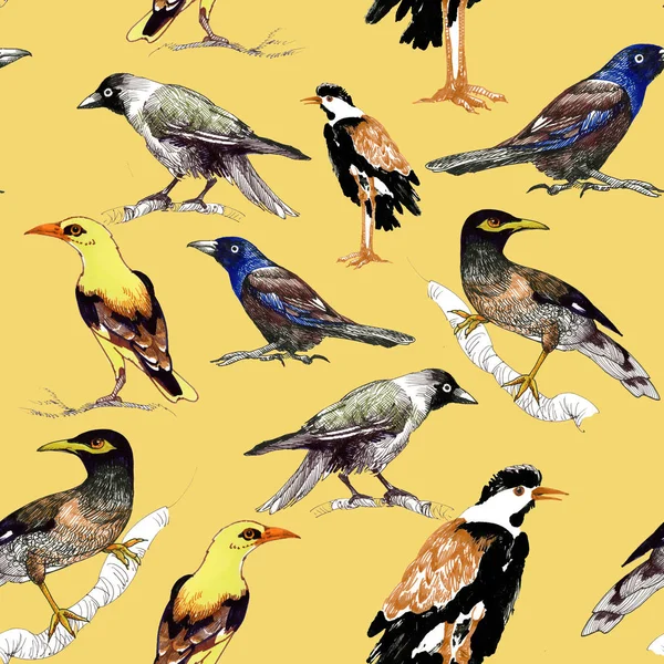 Wildvögel im Hintergrund — Stockfoto