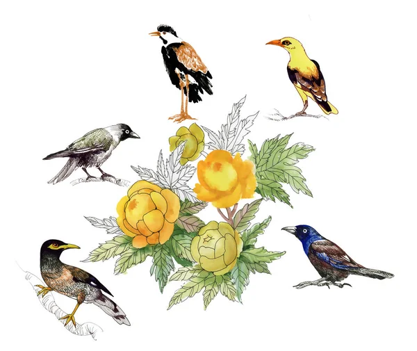 Gele pioenrozen en verschillende vogels — Stockfoto