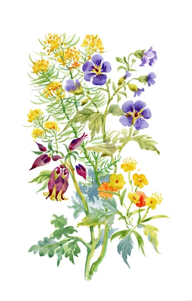 Akvarell blommor och blad — Stockfoto