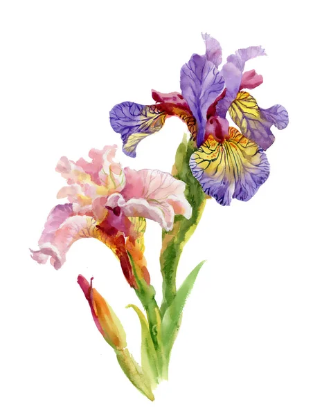 269 ilustraciones de stock de Flores con movimiento | Depositphotos® 269 ilustraciones de stock de Flores con movimiento | Depositphotos®