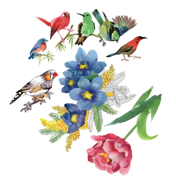 Акварельные цветы и птицы — стоковое фото