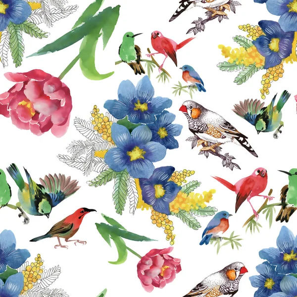 Kleurrijke bloemen en vogels — Stockfoto