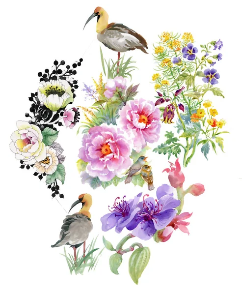 Illustratie met bloemen, bladeren en vogels — Stockfoto