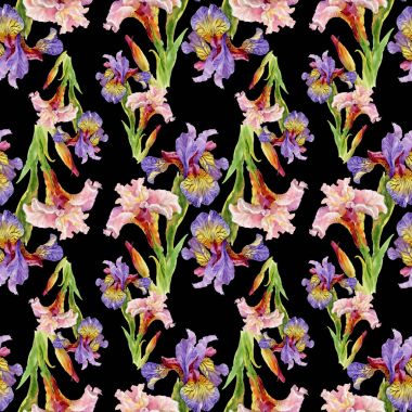 Iris çiçek arka plan