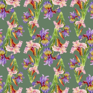 Iris çiçek arka plan