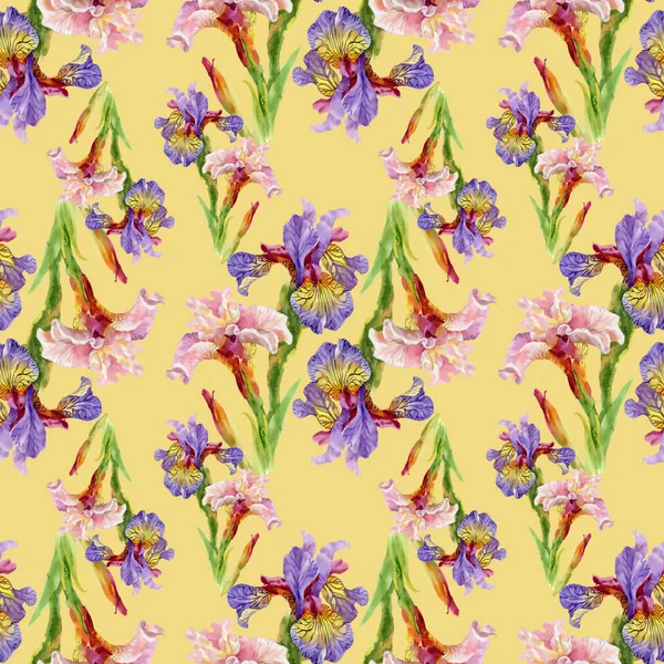 Iris bloemen achtergrond — Stockfoto