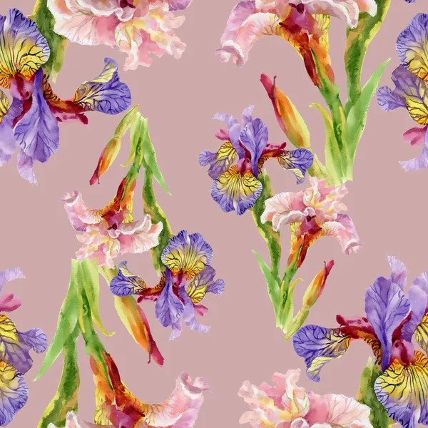 Iris çiçek arka plan — Stok fotoğraf