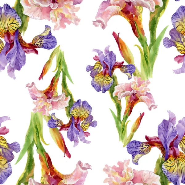 Iris blommor bakgrund — Stockfoto