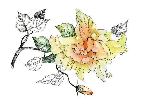 Aquarelle fleur dessinée à la main sur branche — Photo