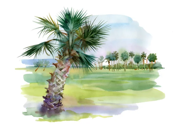 Palmera callejón ilustración — Foto de Stock