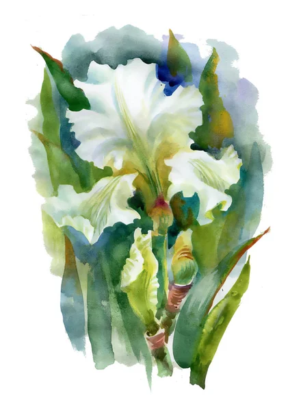 Witte aquarel bloem — Stockfoto