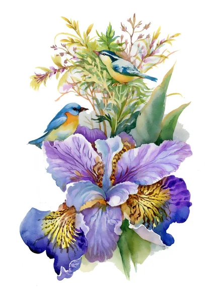 Aquarell Blumen und Vögel — Stockfoto