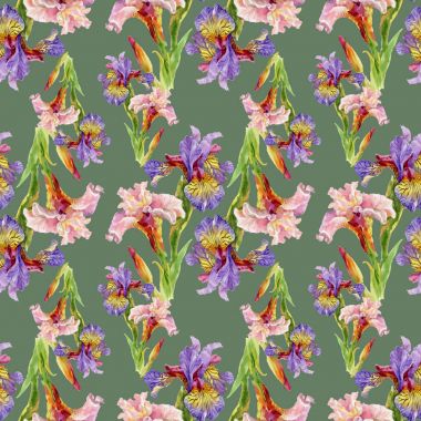 Iris çiçek suluboya seamless modeli