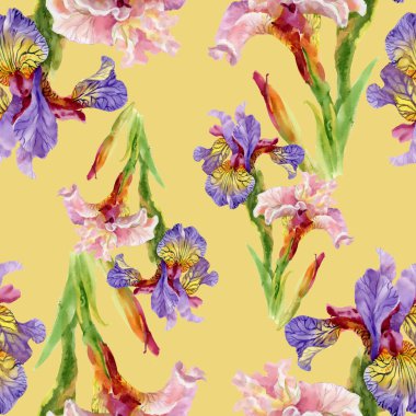 Iris çiçek suluboya seamless modeli