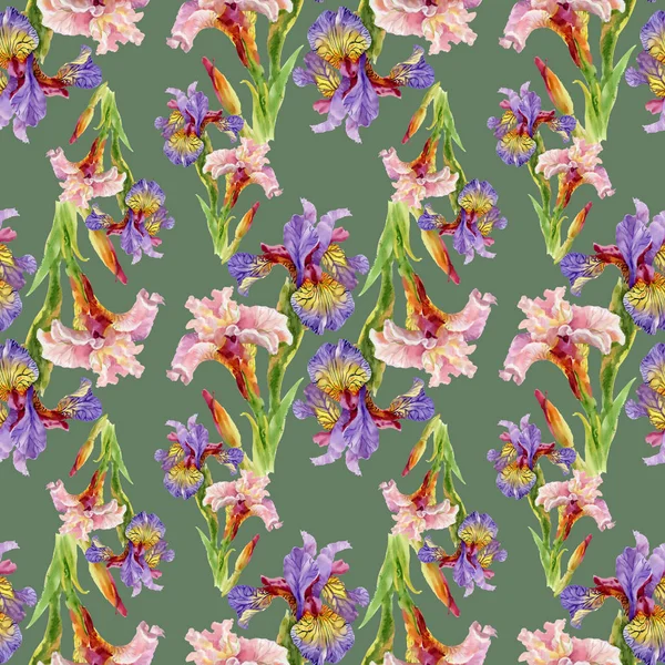 Iris květiny akvarel vzor bezešvé — Stock fotografie
