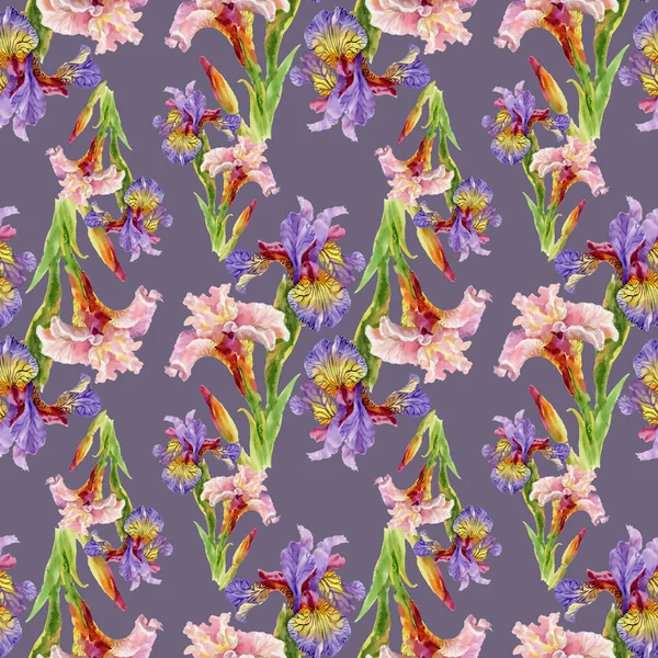 Iris Blumen Aquarell nahtloses Muster — Stockfoto