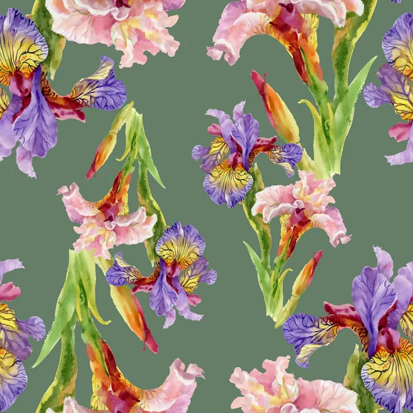 Λουλούδια ίρις ακουαρέλα χωρίς ραφή πρότυπο — Φωτογραφία Αρχείου