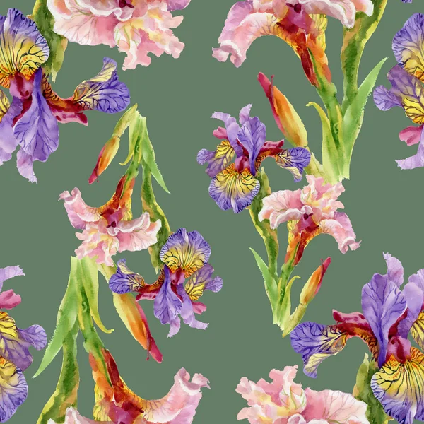 Iris flowers watercolor seamless pattern — Stock Photo, Image