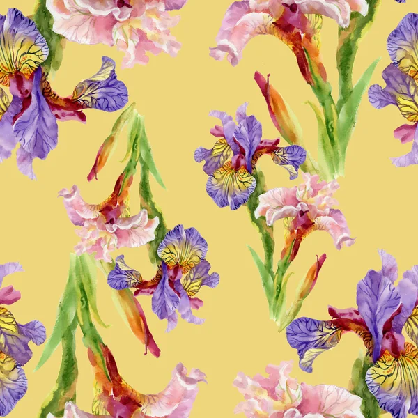 Flores da íris aquarela padrão sem costura — Fotografia de Stock